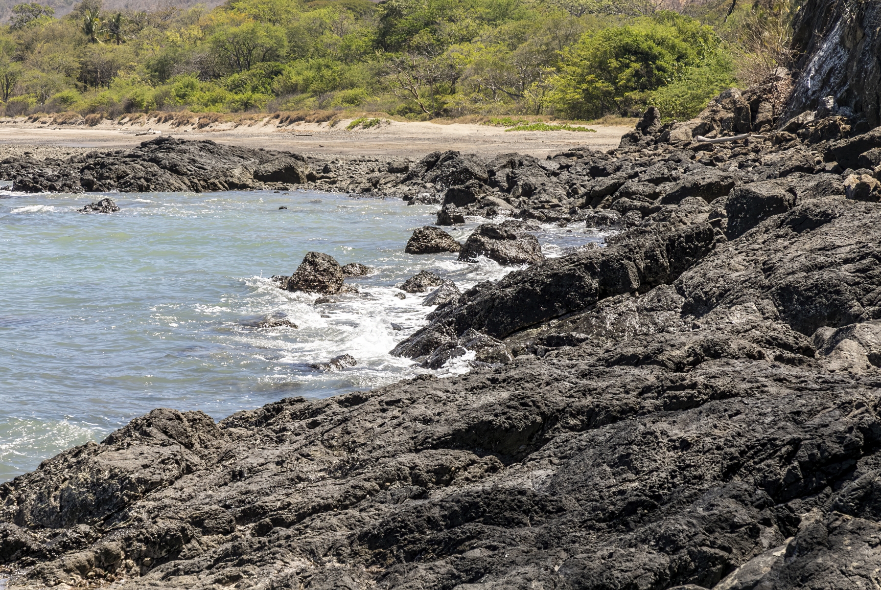 /gallery/central_america/costa_rica/guanacaste/calle punta gorda/Calle Punta Gorda Beach 2024-021_med.jpg